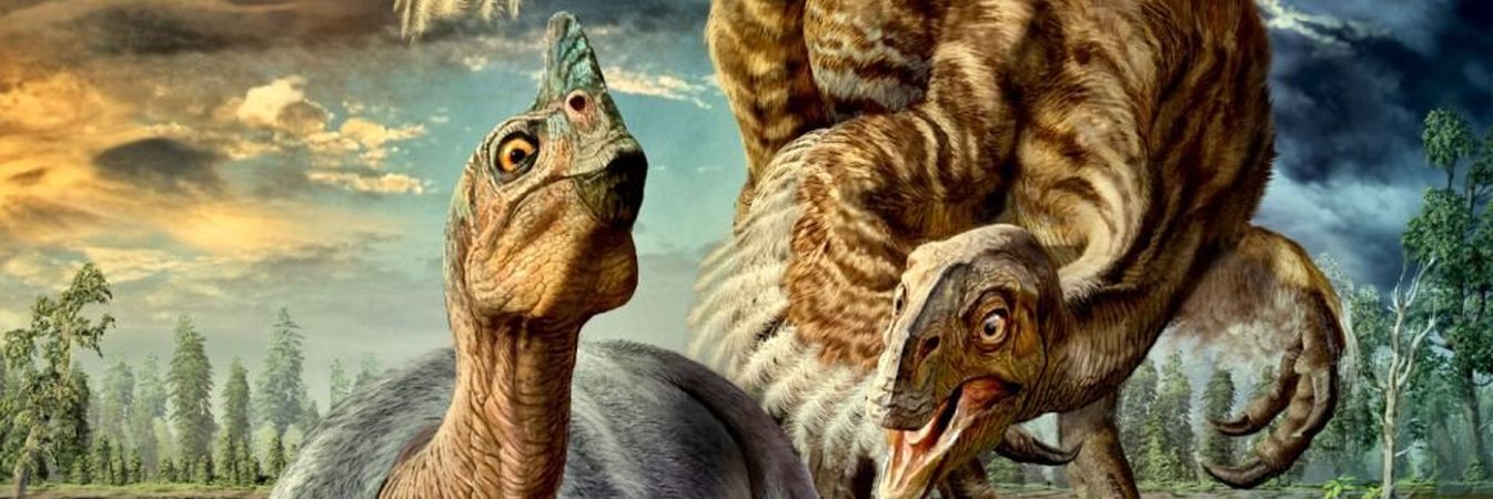 Z obrovských vajec sa vykľul nový dinosaurus