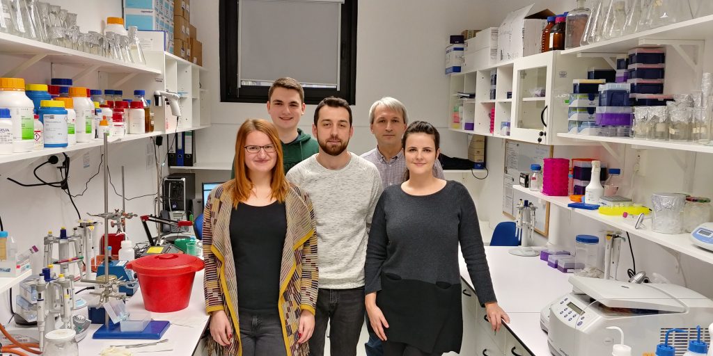 Laboratory of Protein Engineering CibCenter