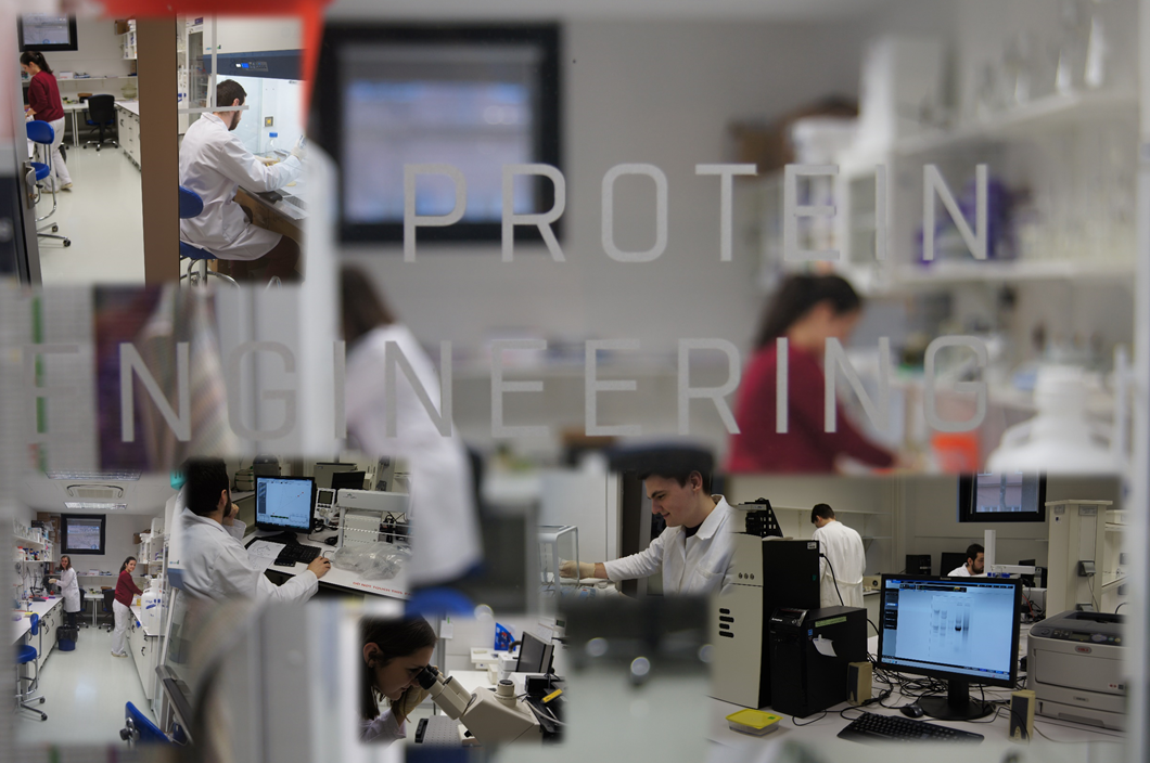 Laboratory of Protein Engineering CibCenter