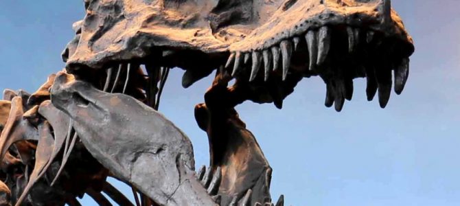 Košická paleontológia vo svete: výpravy za dinosaurami
