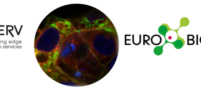 Research project on CIB is supported by canSERV programme and EuroBioimaging